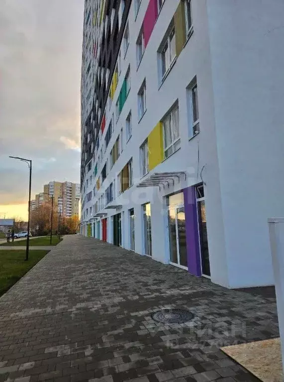 Студия Мордовия, Саранск ул. Косарева, 15А (26.4 м) - Фото 1