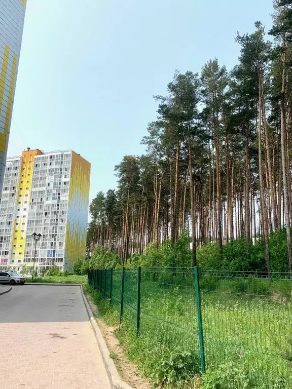 Студия Тверская область, Тверь ул. Фрунзе, 2к1 (28.0 м) - Фото 0
