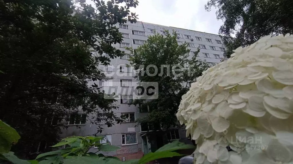 2-к кв. Пензенская область, Пенза ул. Пушкина, 17 (43.3 м) - Фото 1