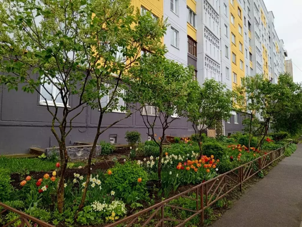 3-комнатная квартира: Кострома, Магистральная улица, 39 (65 м) - Фото 0