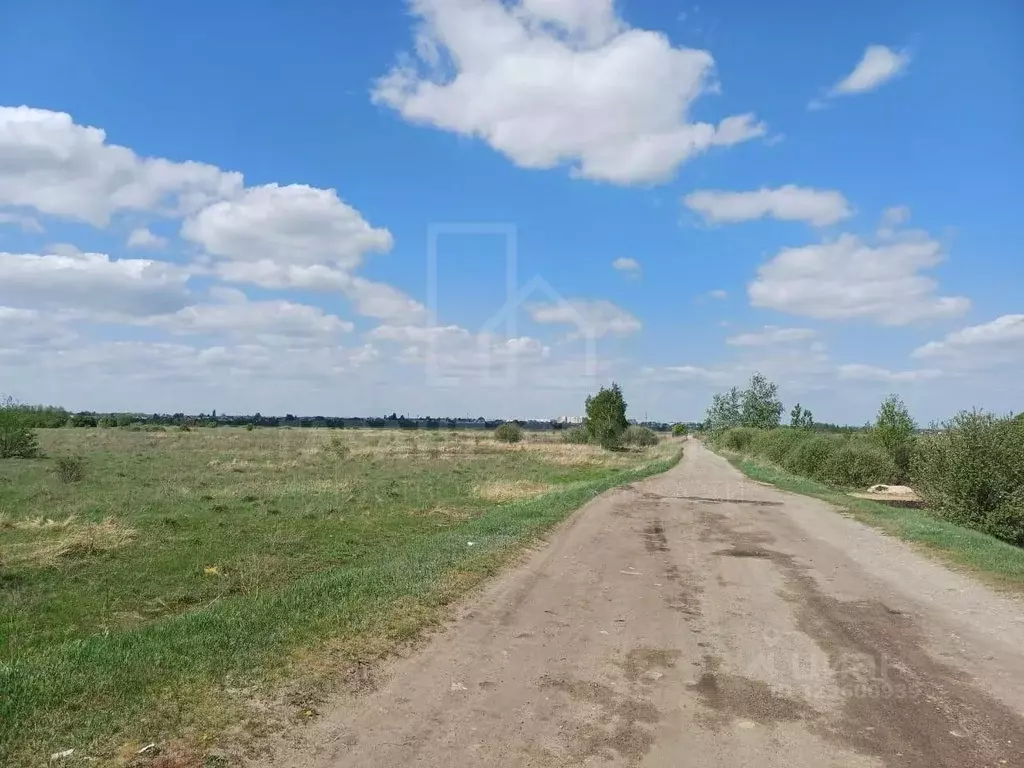 Участок в Тамбовская область, Тамбов городской округ, с. Бокино, Новый ... - Фото 2