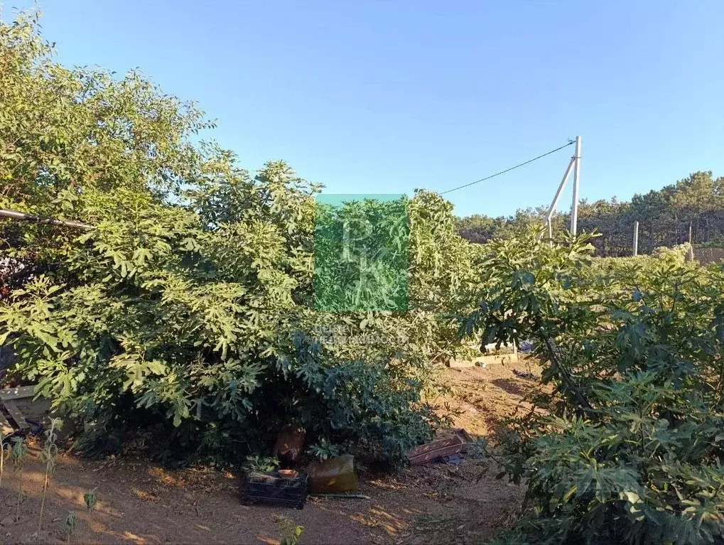 Участок в Севастополь Гагаринский муниципальный округ,  (5.0 сот.) - Фото 2