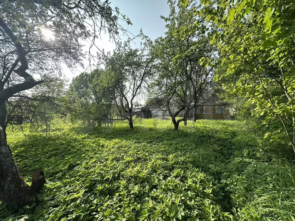 Участок 12 сот. (СНТ, ДНП) - Фото 0