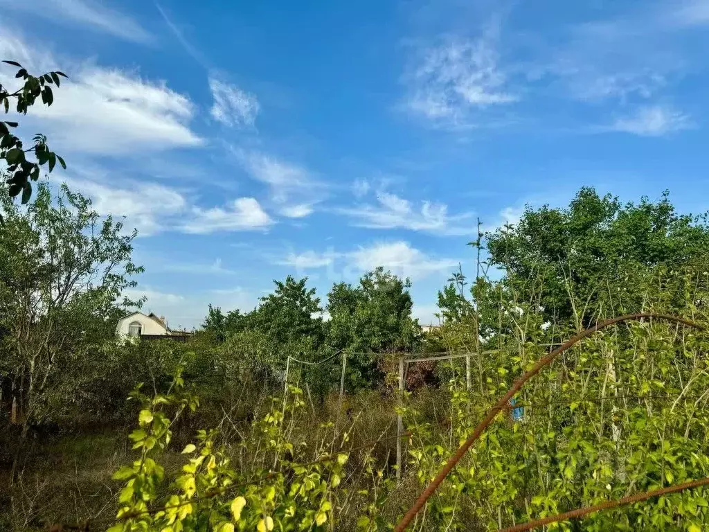 Участок в Крым, Феодосия Геотехник СПК, ул. Клубничная (4.1 сот.) - Фото 1