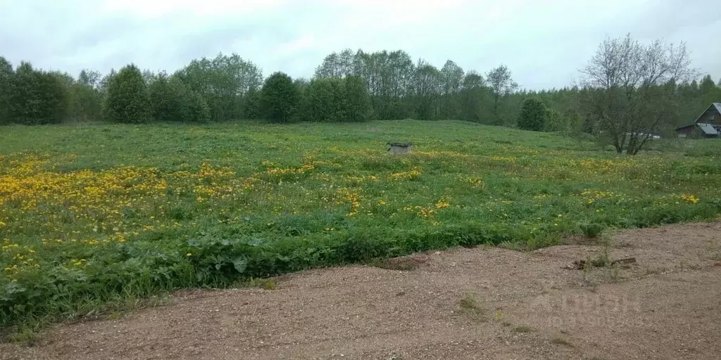 Участок в Новгородская область, Валдайский муниципальный район, ... - Фото 2