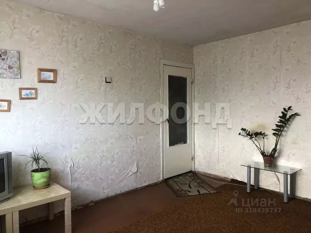 2-к кв. Новосибирская область, Новосибирск ул. Палласа, 17 (46.1 м) - Фото 1