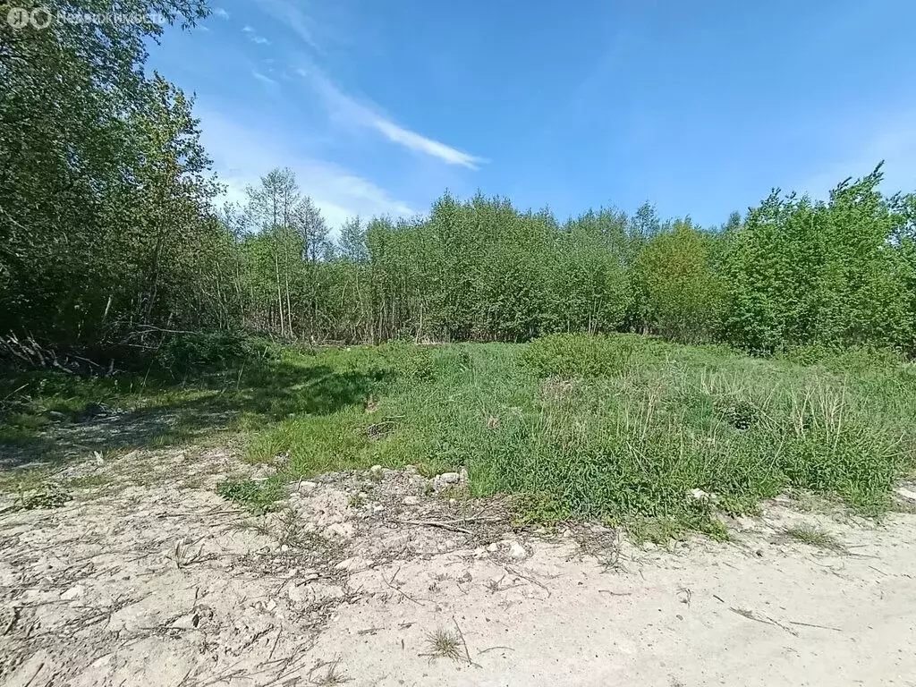 Участок в Калининградская область, Гурьевск (6 м) - Фото 1
