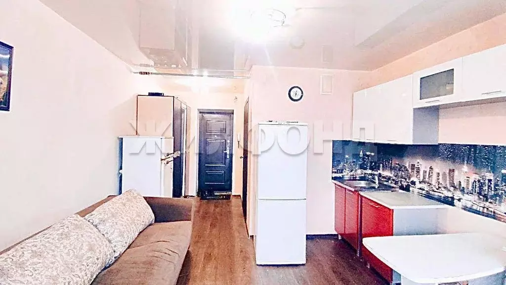 1-к кв. Новосибирская область, Бердск ул. Кристальная, 11/2 (19.2 м) - Фото 0