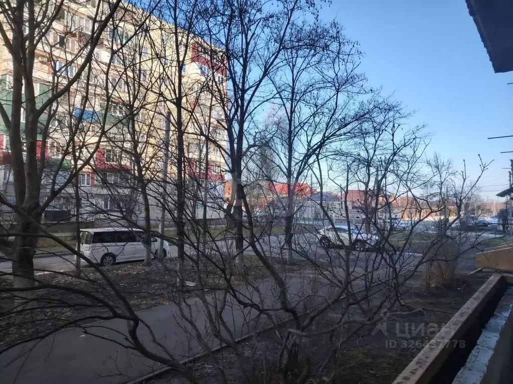 1-к кв. Адыгея, Майкоп ул. Патриса Лумумбы, 122 (37.4 м) - Фото 1