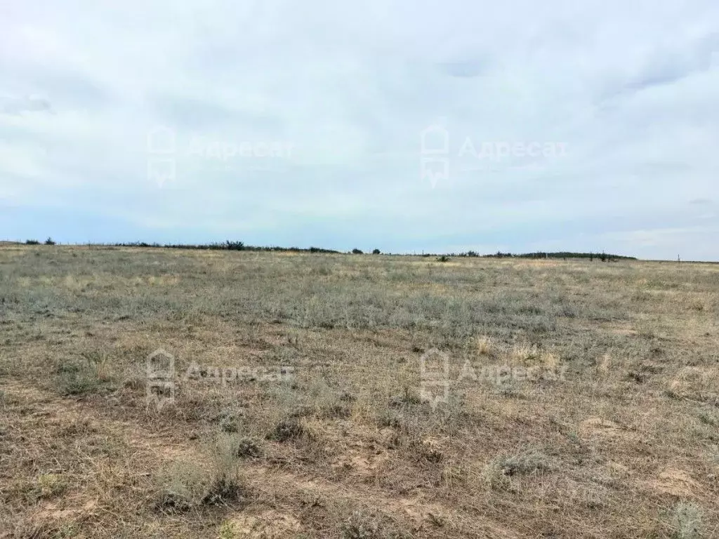 Участок в Волгоградская область, Дубовский район, Пичужинское с/пос, ... - Фото 2
