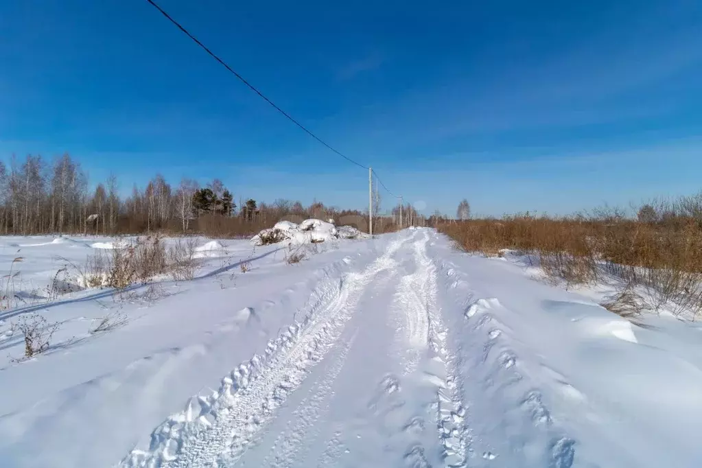 Участок в Тюменская область, Тюмень Поле Чудес садовое товарищество, ... - Фото 1