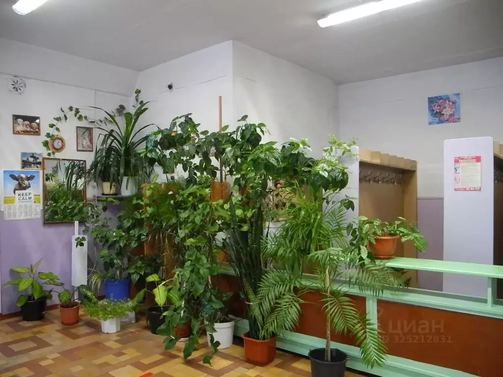 Помещение свободного назначения в Коми, Сыктывкар городской округ, ... - Фото 2