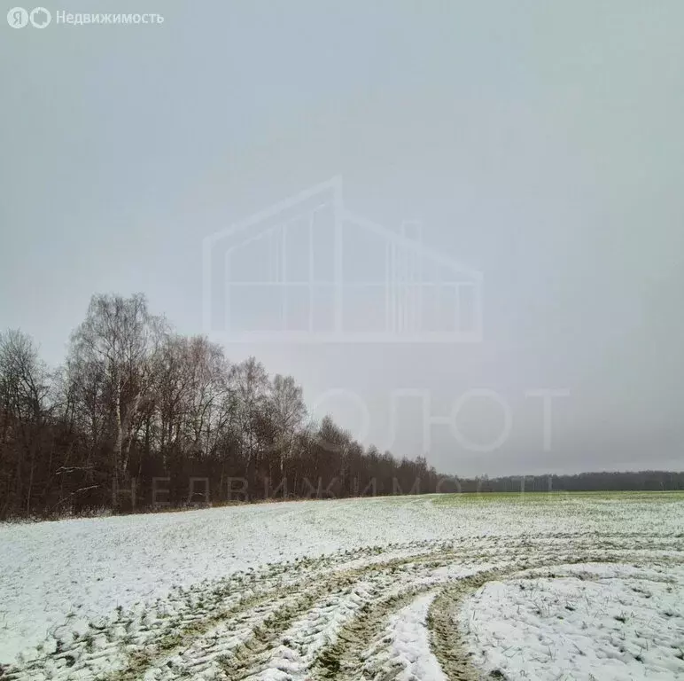 Участок в Сергиево-Посадский городской округ, деревня Самотовино ... - Фото 0