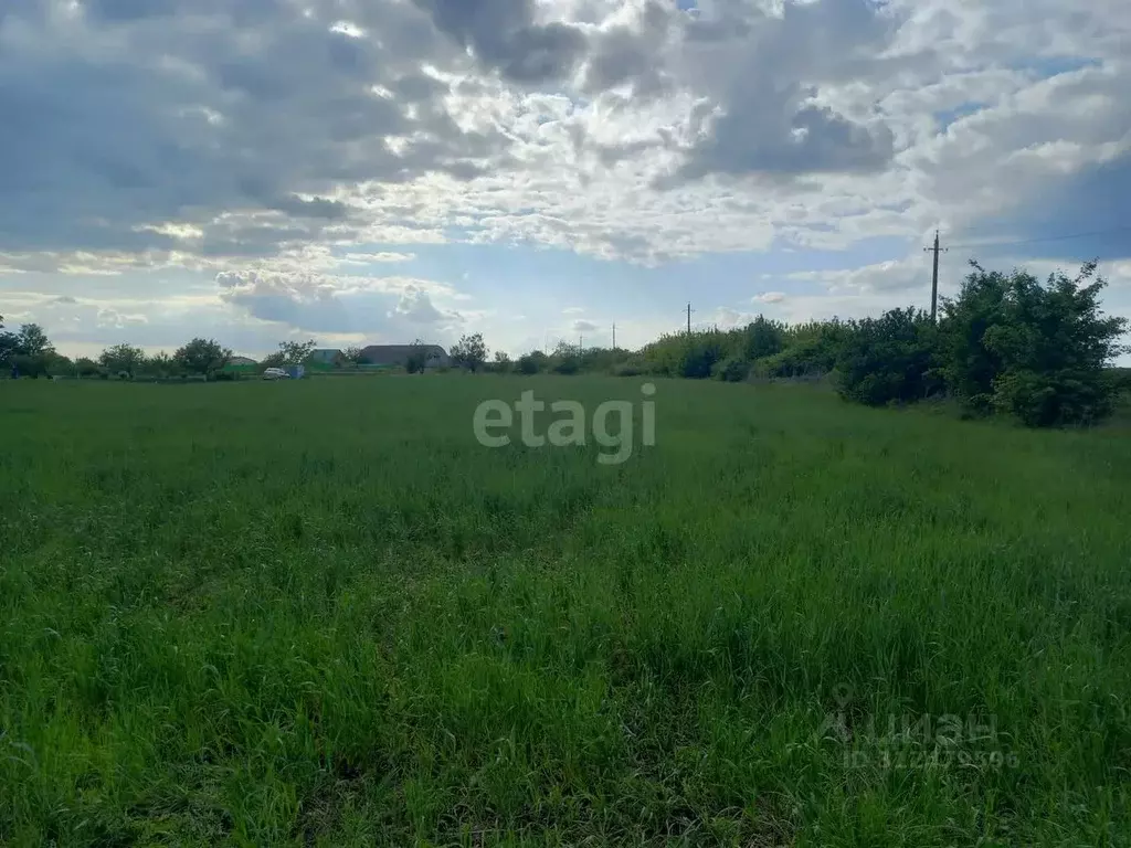 Участок в Белгородская область, Губкинский городской округ, с. ... - Фото 1