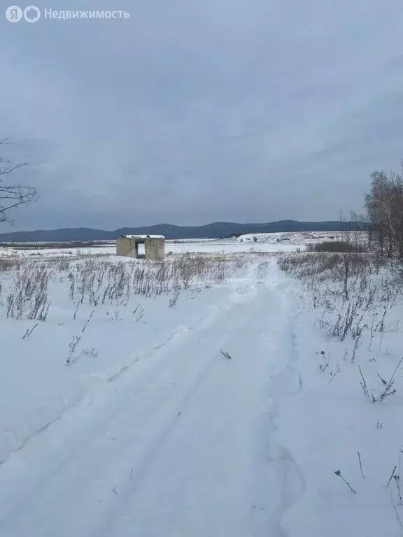 Участок в Забайкальский край, Улётовский муниципальный округ, село ... - Фото 1