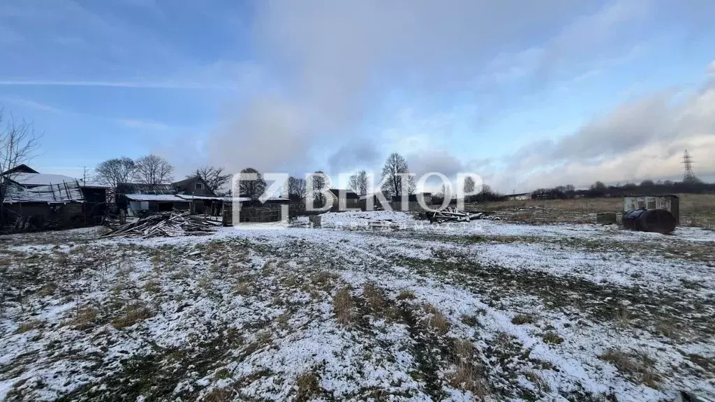 Участок в Ярославская область, Ярославский муниципальный округ, д. ... - Фото 1