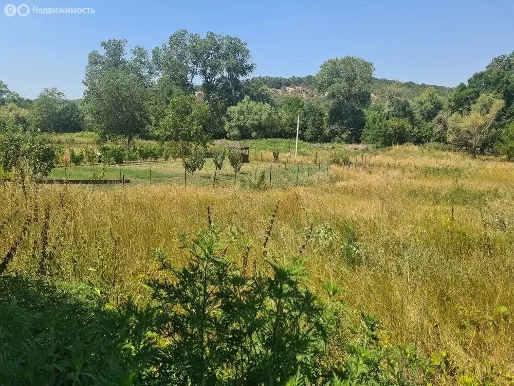 Участок в Краснодарский край, муниципальный округ Анапа, село Сукко ... - Фото 1