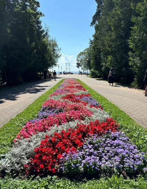Участок в Санкт-Петербург, Санкт-Петербург, Зеленогорск Приморское ш., ... - Фото 2