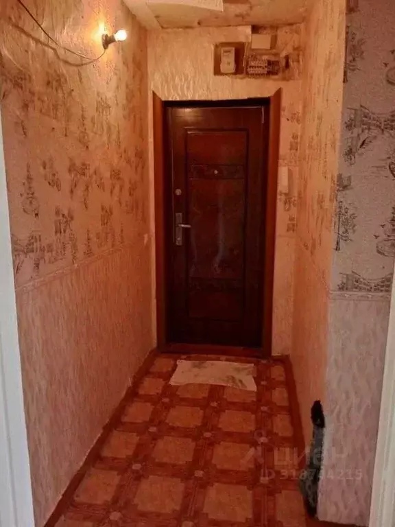1-к кв. Хакасия, Сорск Усть-Абаканский район,  (31.0 м) - Фото 0