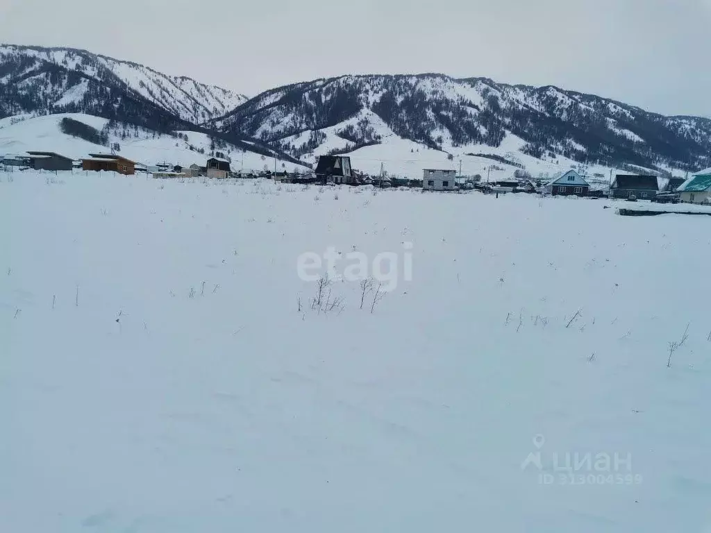 Участок в Алтай, Усть-Коксинский район, с. Усть-Кокса ул. Шукшина ... - Фото 0