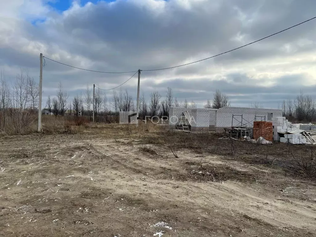 Участок в Алтайский край, Первомайский район, с. Фирсово ул. ... - Фото 2