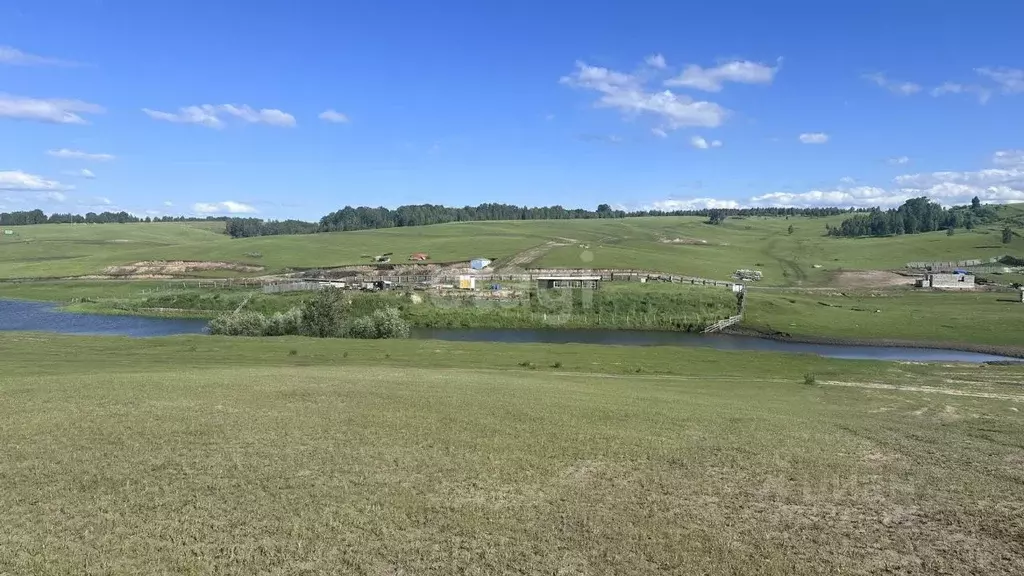 Участок в Красноярский край, Красноярск городской округ, Березовка ... - Фото 1