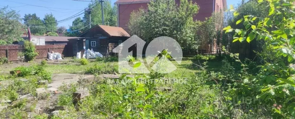 Участок в Новосибирская область, Новосибирск Садовод садовое ... - Фото 0