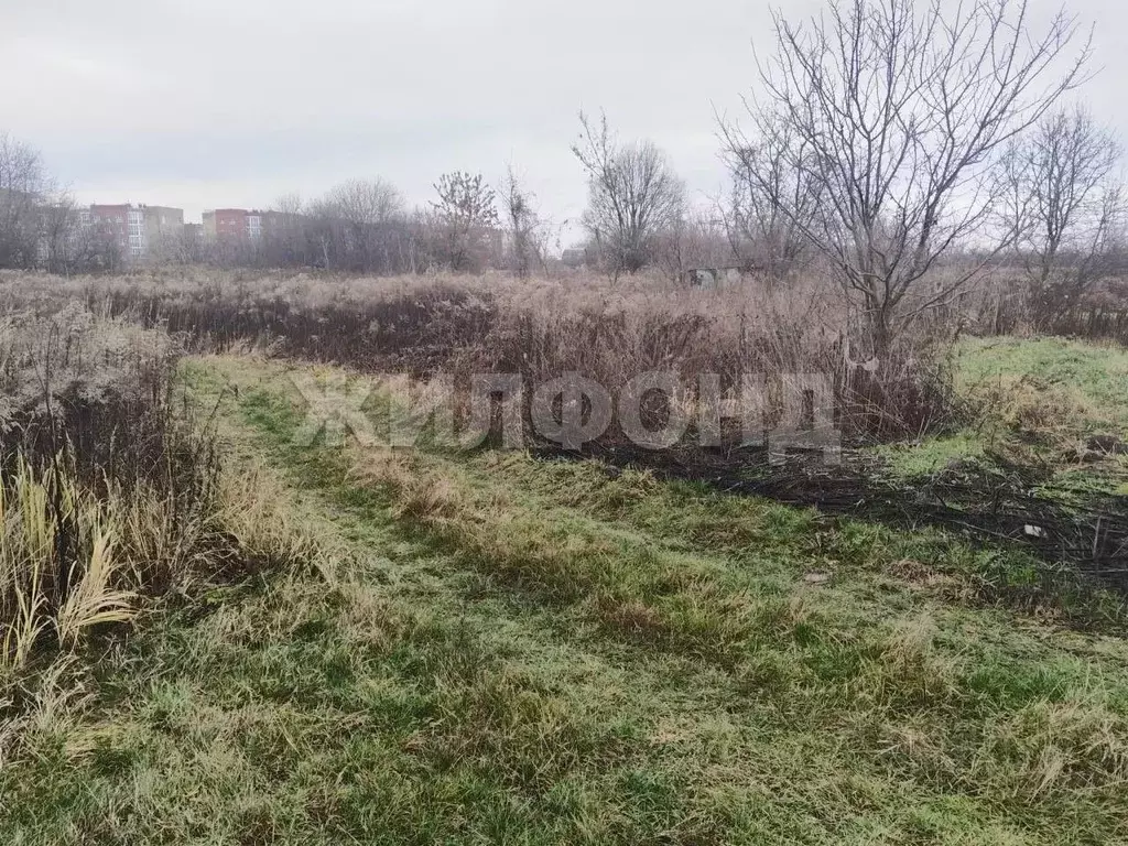 Участок в Брянская область, Брянский район, Снежское с/пос, пос. ... - Фото 1