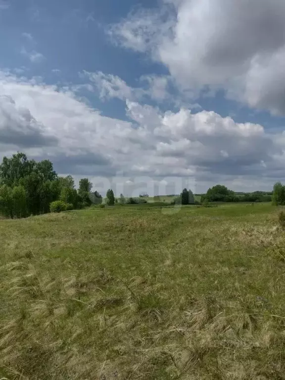 Участок в Красноярский край, Емельяновский район, Шуваевский ... - Фото 0