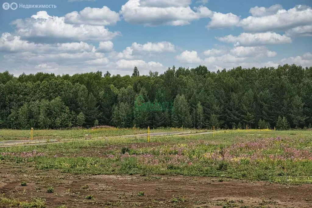 Участок в деревня Нижние Аремзяны, Центральная улица, 34 (40 м) - Фото 1