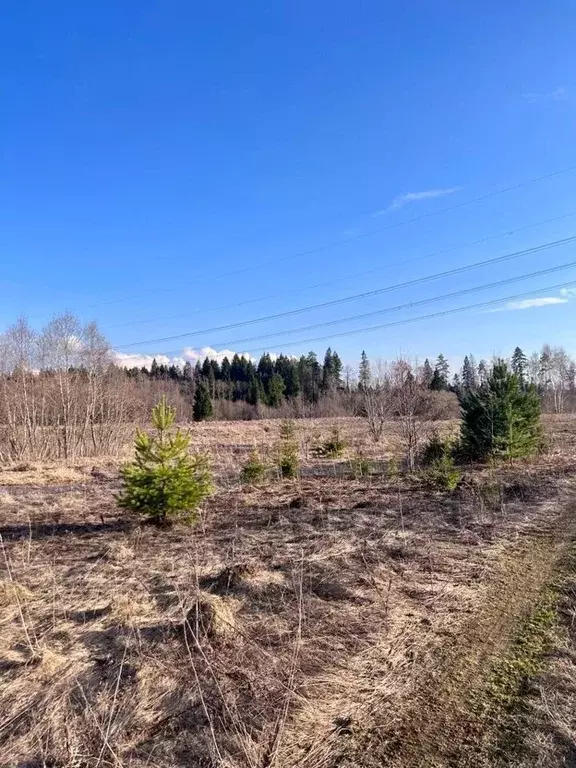 Участок в Московская область, Можайский городской округ, д. Бурцево  ... - Фото 0