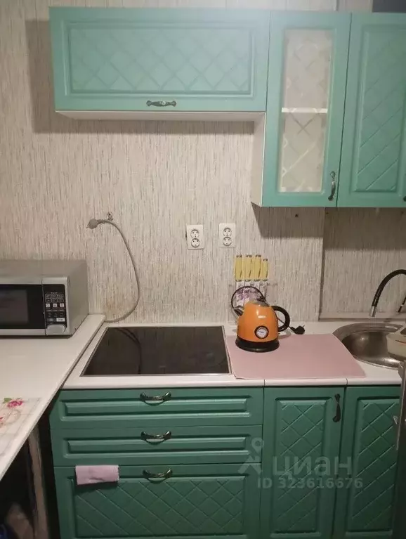 1-к кв. Псковская область, Великолукский район, Переслегинская ... - Фото 1