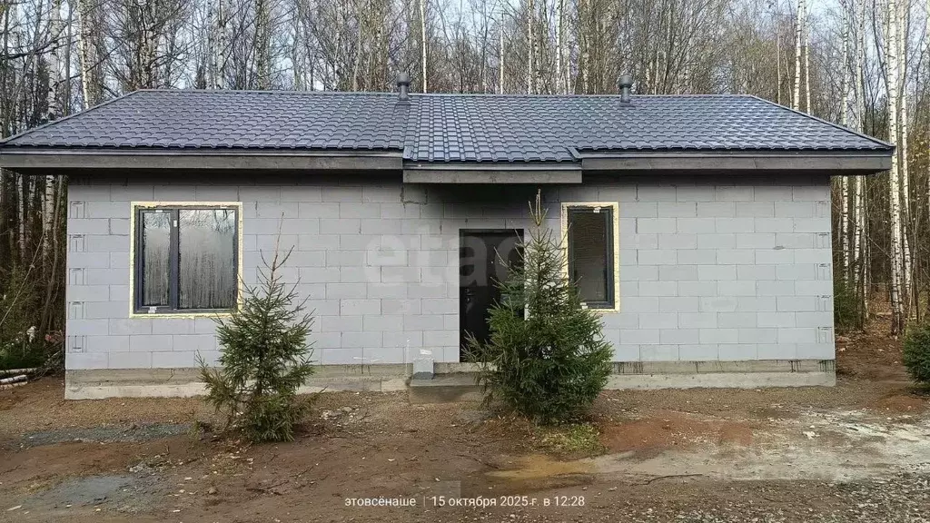 Дом в Пермский край, Пермь Золотистая ул., 41 (80 м) - Фото 1