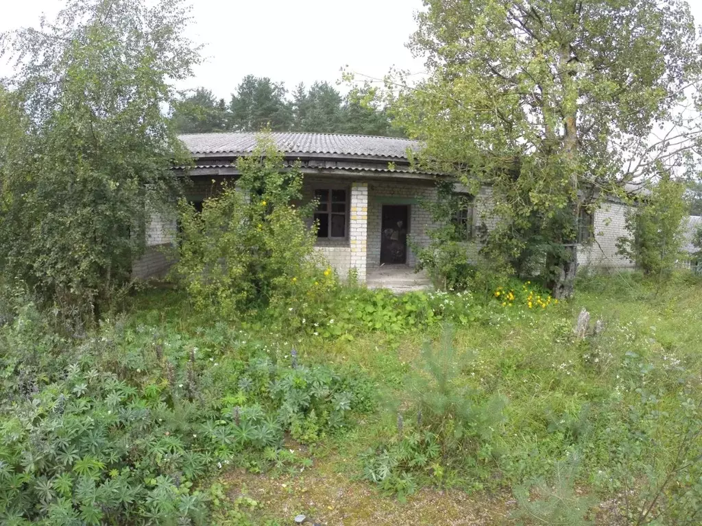 Дом в Карелия, Питкярантский район, д. Ууксу ул. Молодежная, 2 (407 м) - Фото 1