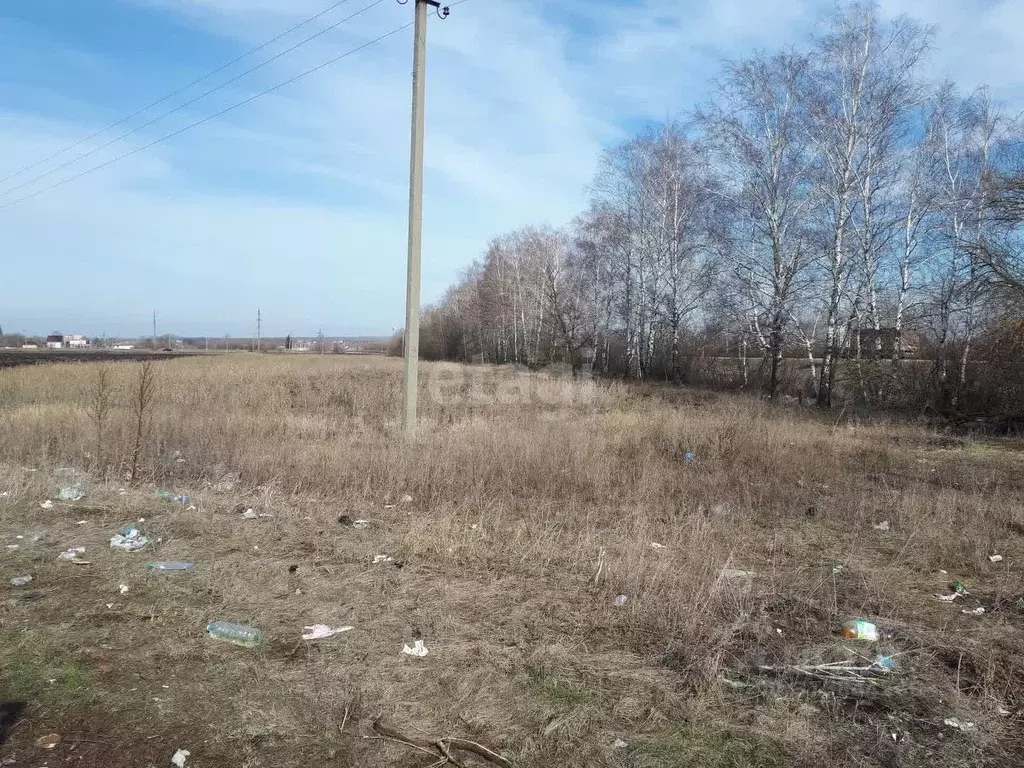 Участок в Тамбовская область, Тамбовский муниципальный округ, ... - Фото 0