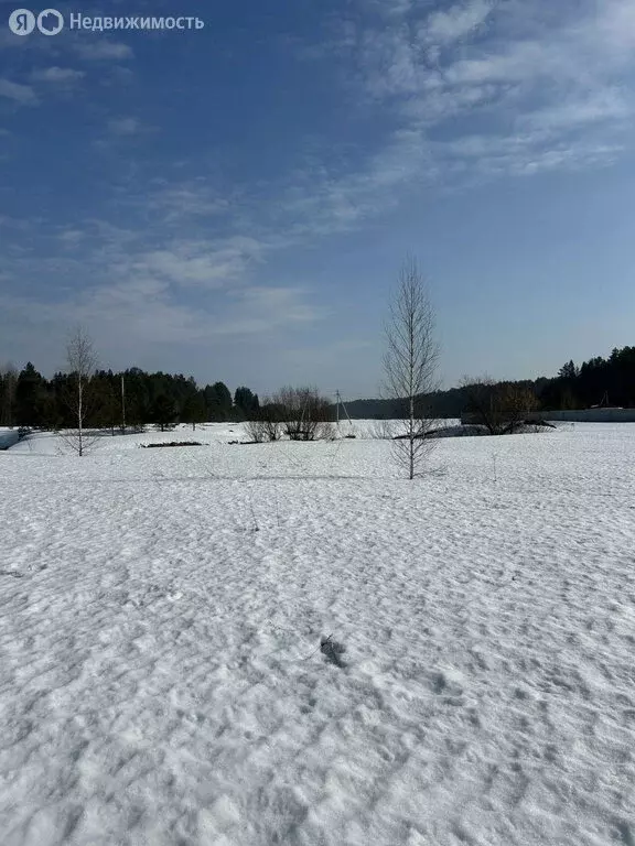 Участок в Шиховское сельское поселение, Чистопрудная улица (48.4 м) - Фото 2