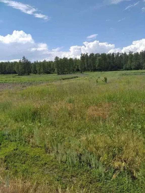 Участок в Белгородская область, Старооскольский городской округ, с. ... - Фото 0