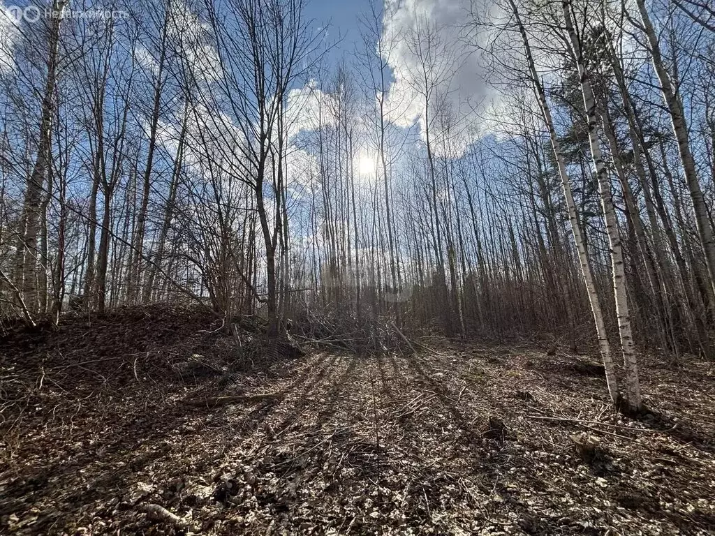 Дом в Псков, 6-й переулок Шабаново (87.7 м) - Фото 2