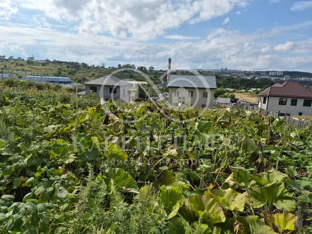 Участок в Корсаков, Тенистая улица, 46 (11.5 м) - Фото 2