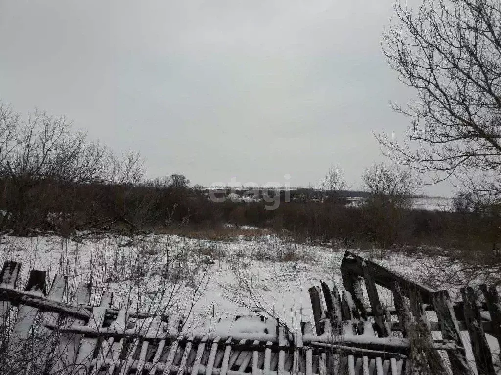 Участок в Белгородская область, Алексеевский городской округ, с. ... - Фото 0