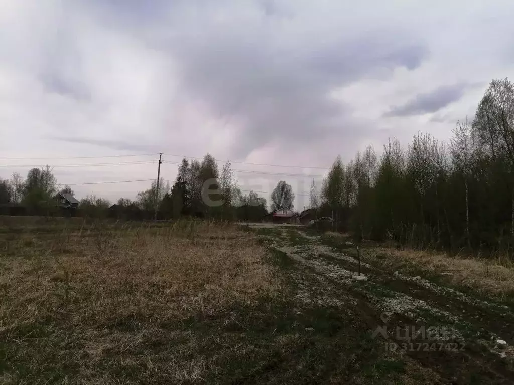 Участок в Нижегородская область, Выкса городской округ, с. Борковка, ... - Фото 0