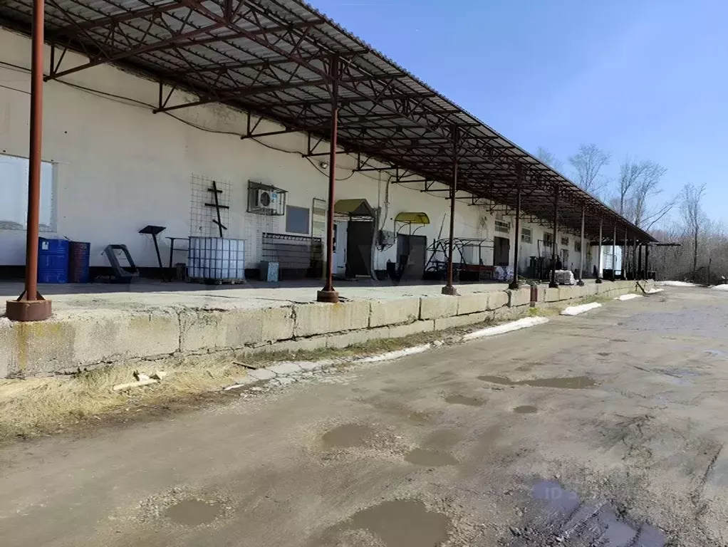 Помещение свободного назначения в Самарская область, с. Шигоны ул. ... - Фото 0