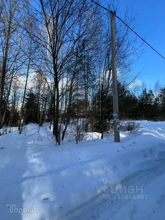 Участок в Брянская область, Брянск пос. Антоновка,  (23.0 сот.) - Фото 1
