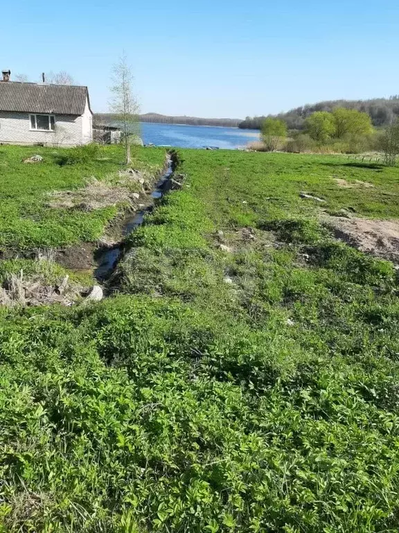 Участок в Псковская область, Дедовичский район, Пожеревицкая волость, ... - Фото 1