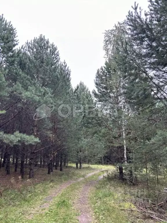 Участок в Тюменская область, Нижнетавдинский район, пос. Мияги ул. ... - Фото 0