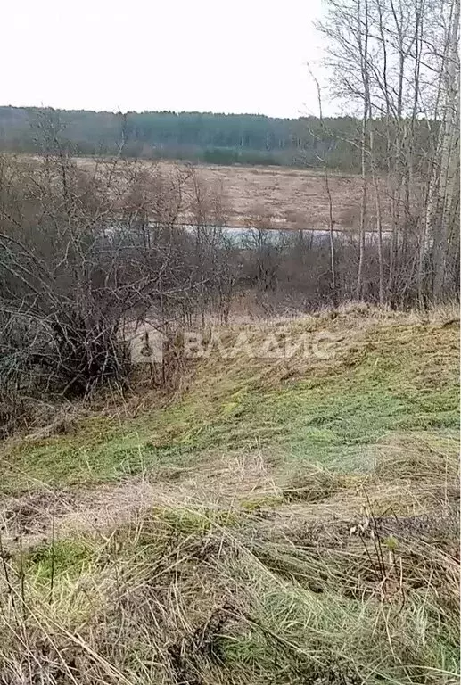 Участок в Нижегородская область, Ветлужский муниципальный округ, ... - Фото 1