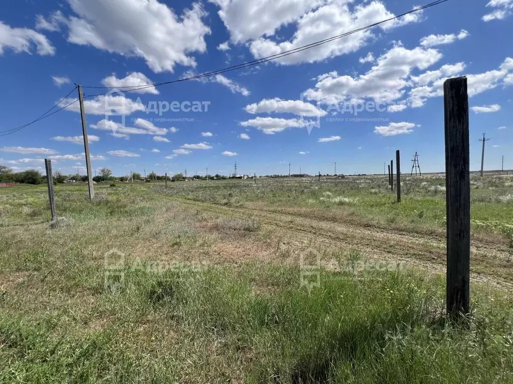 Участок в Волгоградская область, Светлоярский район, Дубовоовражное ... - Фото 2