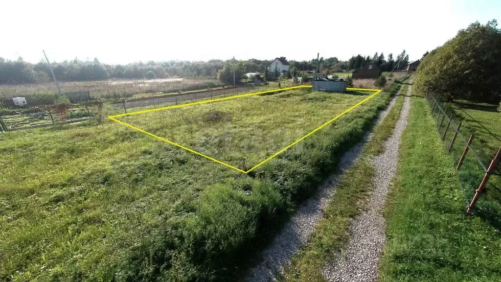 Участок в Ленинградская область, Волосовский район, Большеврудское ... - Фото 1