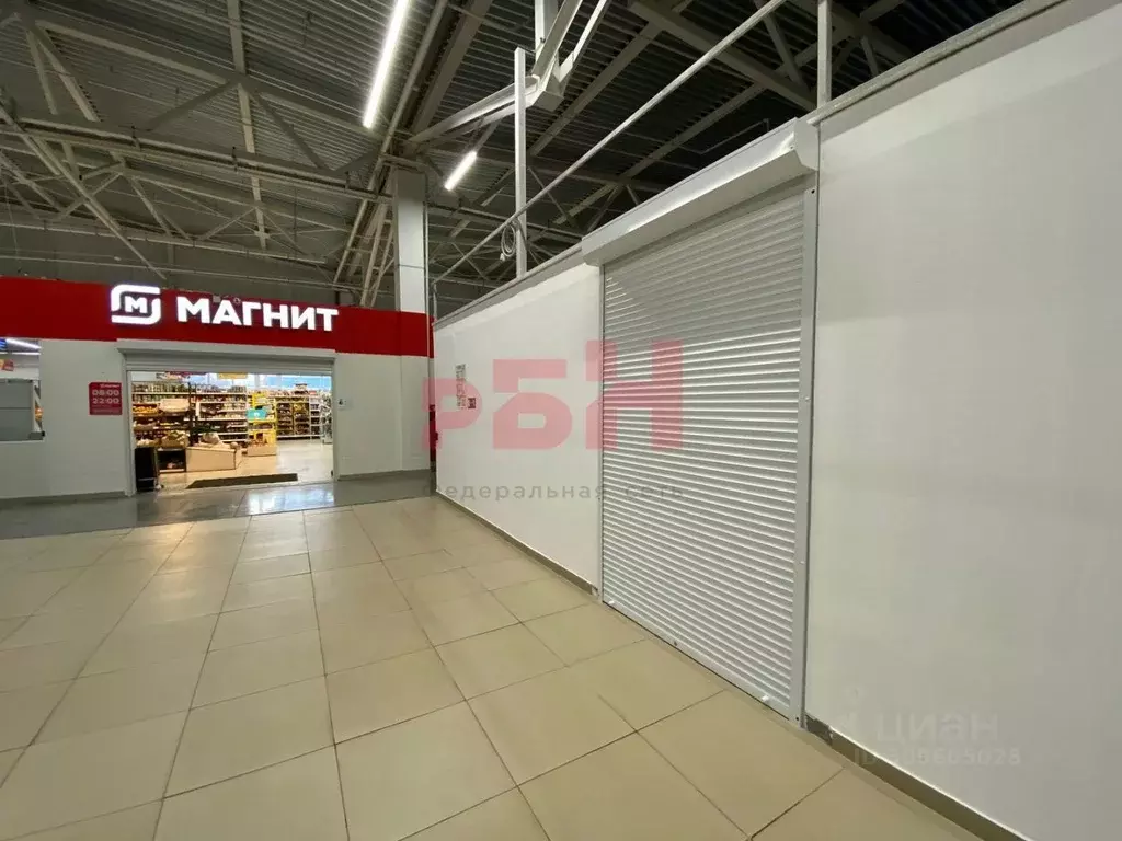 Торговая площадь в Курганская область, Курган просп. Маршала Голикова, ... - Фото 2