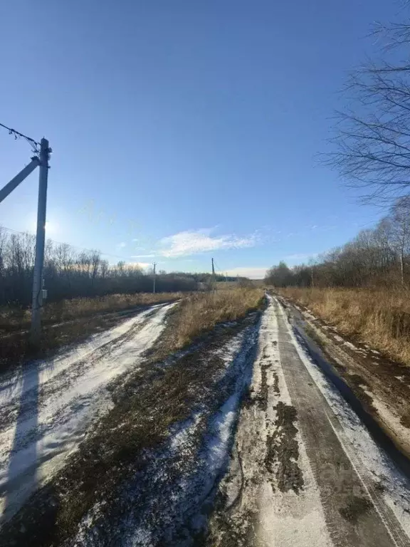 Участок в Тульская область, Тула городской округ, с. Фалдино  (10.0 ... - Фото 1